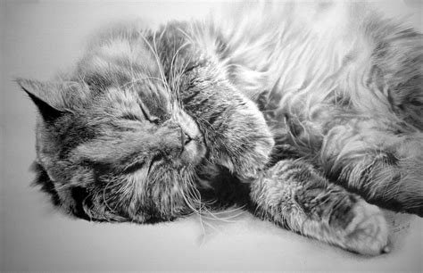 unique odd drawing|24 outrageously realistic pencil drawings .